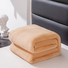 Load image into Gallery viewer, 70x100cmGrey Flannel Fleece Blanket Adult Children Soft Warm Throw Bed Covers