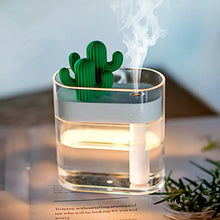 Load image into Gallery viewer, Clear Cactus Humidifier