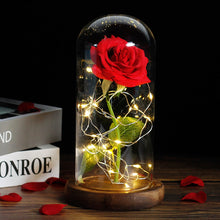 Load image into Gallery viewer, Beauty And The Beast Rose In LED Glass - foxberryparkproducts
