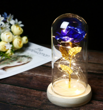 Load image into Gallery viewer, Beauty And The Beast Rose In LED Glass - foxberryparkproducts