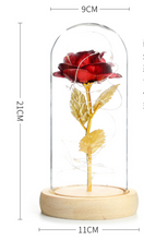 Load image into Gallery viewer, Beauty And The Beast Rose In LED Glass - foxberryparkproducts