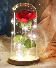 Load image into Gallery viewer, Beauty And The Beast Rose In LED Glass - foxberryparkproducts