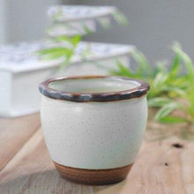 Load image into Gallery viewer, Mini Thumb Flower Pot Retro Crease - foxberryparkproducts