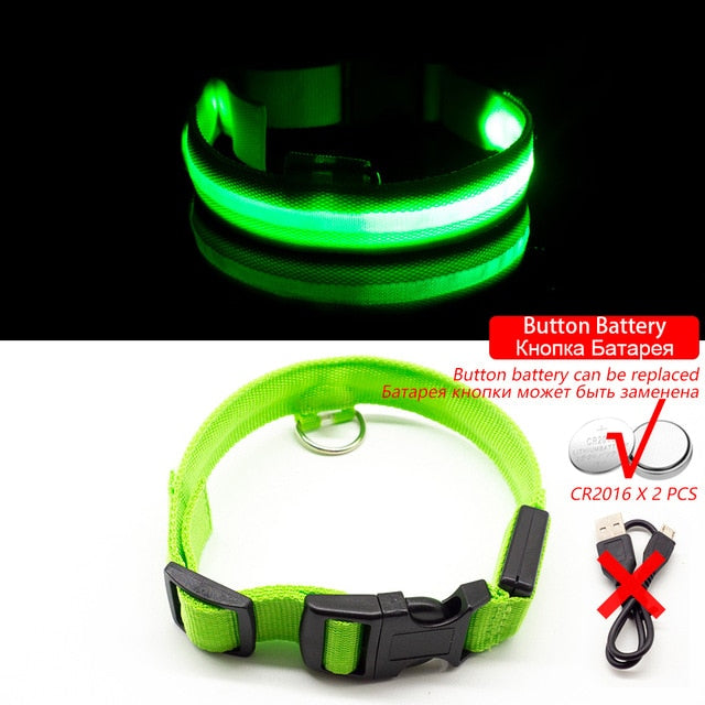 USB Charging Led Dog Collar Anti-Lost/Avoid Car Accident Collar For Dogs Puppies Dog Collars Leads LED Supplies Pet Products - foxberryparkproducts