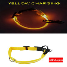 Load image into Gallery viewer, Luminous Dog Collar Led USB Collar Personalized Rechargeable Light For Small Large Dog - foxberryparkproducts