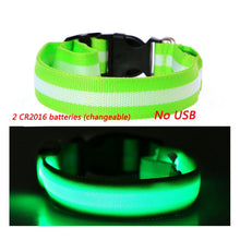 Load image into Gallery viewer, Luminous Dog Collar Led USB Collar Personalized Rechargeable Light For Small Large Dog - foxberryparkproducts