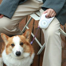Load image into Gallery viewer, Retractable Dog Leash And Collar
