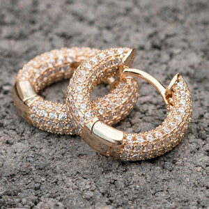 Luxury Women Small Hoop Earrings