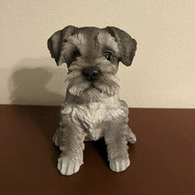 Load image into Gallery viewer, Sitting Schnauzer Puppy Statue Resin Lawn Sculpture
