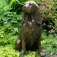 Load image into Gallery viewer, Garden Decoration Dog Resin Springer Spaniel
