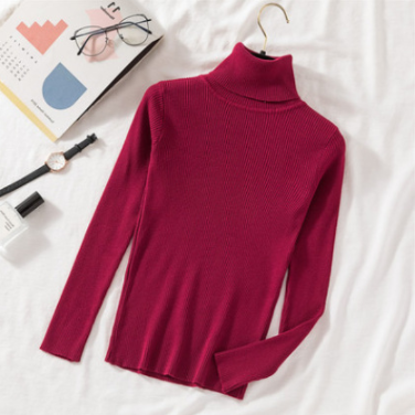Pullover Women Knitted Turtleneck Sweater - foxberryparkproducts