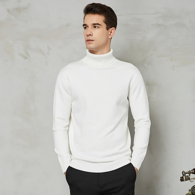 Handsome 8 Color Turtleneck Sweater - foxberryparkproducts