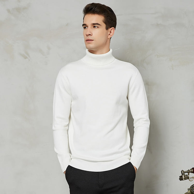 Handsome 8 Color Turtleneck Sweater - foxberryparkproducts