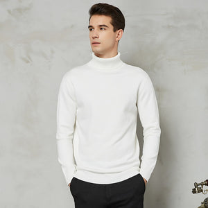 Handsome 8 Color Turtleneck Sweater - foxberryparkproducts
