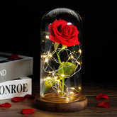 Beauty And The Beast Rose In LED Glass - foxberryparkproducts