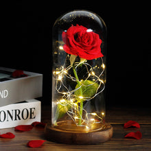 Load image into Gallery viewer, Beauty And The Beast Rose In LED Glass - foxberryparkproducts
