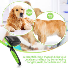 Load image into Gallery viewer, Self Cleaning Dog Brush - foxberryparkproducts
