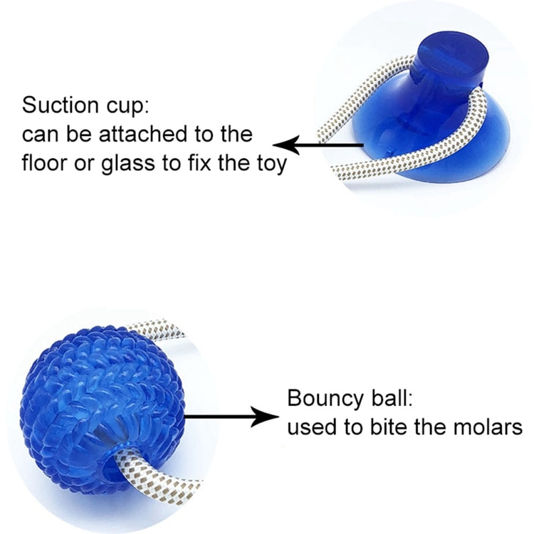 Multifunction Pet Molar Bite Toy  Interactive fun Pet toy with TPR ball Tooth Cleaning - foxberryparkproducts