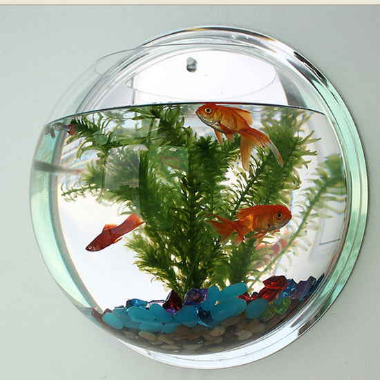 Wall Mounted Newest Hanging Decor Bubble Bowl Flowers Fish Tank - foxberryparkproducts