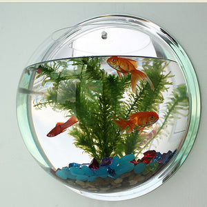 Wall Mounted Newest Hanging Decor Bubble Bowl Flowers Fish Tank - foxberryparkproducts