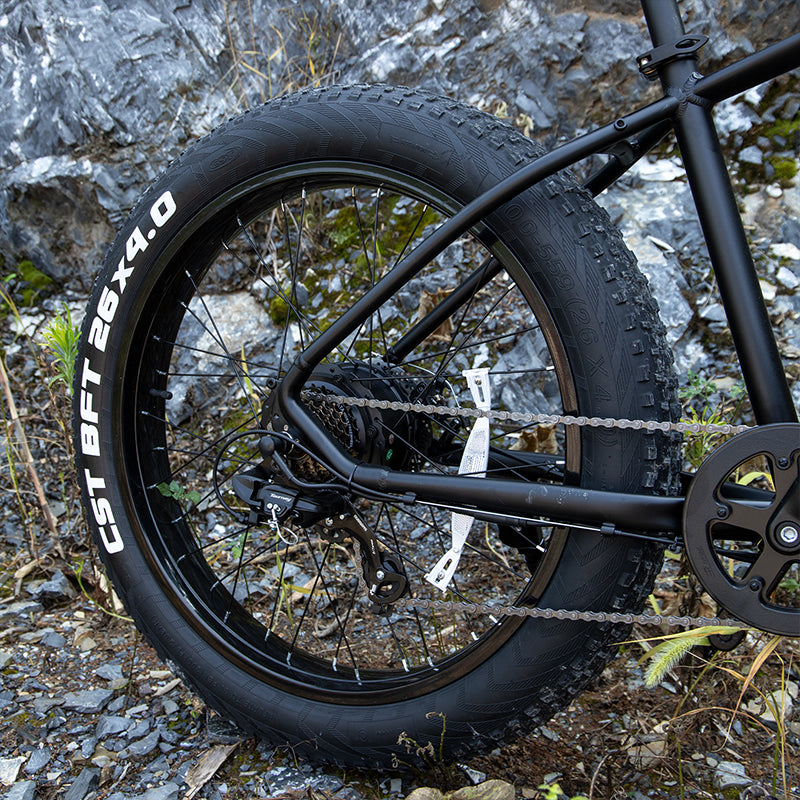 Sivrock Electric Bike 26'' Fat Tire 1000W Motor 48V 15Ah Large Battery Mountain E-Bike Shimano 7-Speed Bicycle - foxberryparkproducts