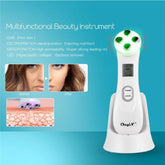 RF Skin Rejuvenation Instrument - foxberryparkproducts