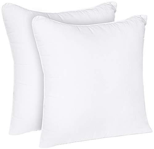 Utopia Bedding Throw Pillows Insert (Pack of 2, White) - 18 x 18 Inches Bed and Couch Pillows - Indoor Decorative Pillows - foxberryparkproducts