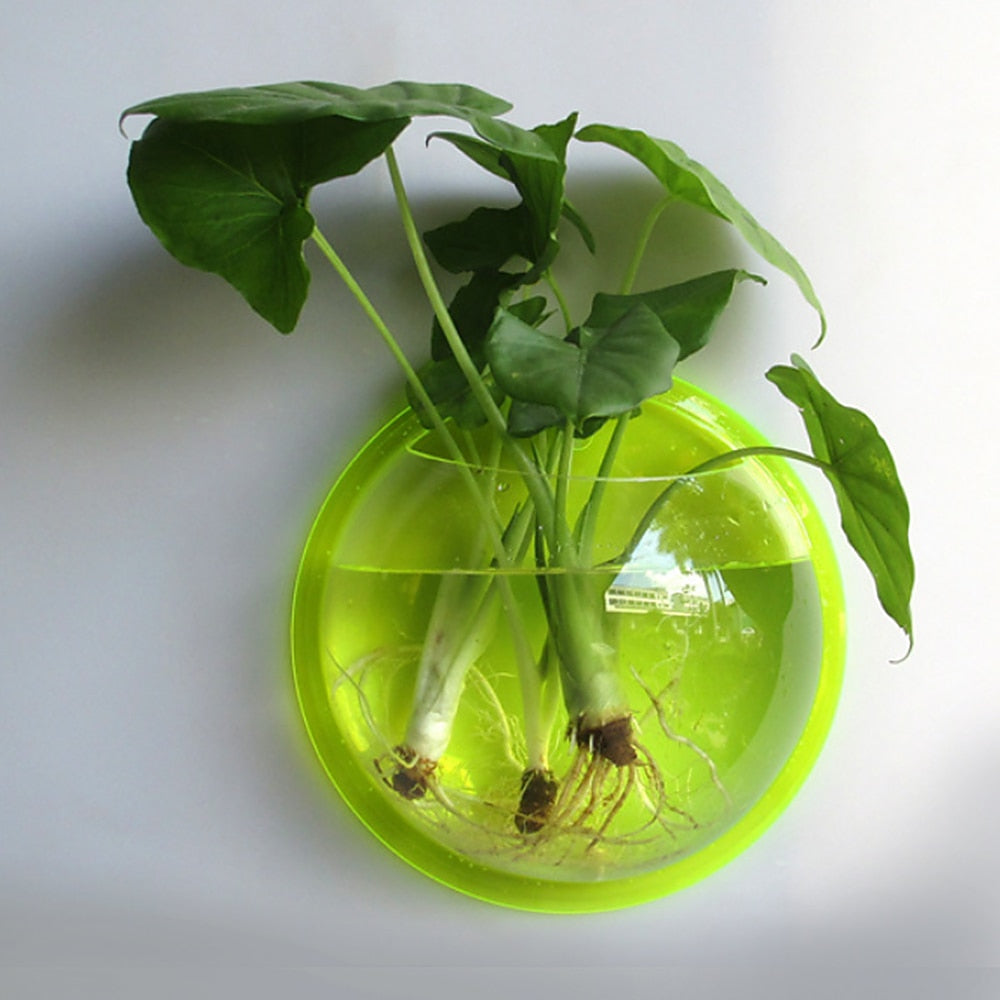 Wall Mounted Newest Hanging Decor Bubble Bowl Flowers Fish Tank - foxberryparkproducts