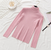 Pullover Women Knitted Turtleneck Sweater - foxberryparkproducts