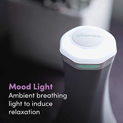 Rechargeable Deep Tissue Shiatsu Spin Massager | Portable, Targeted Handheld Massage with Adjustable Nodes and Speed | Make Lemonade - foxberryparkproducts