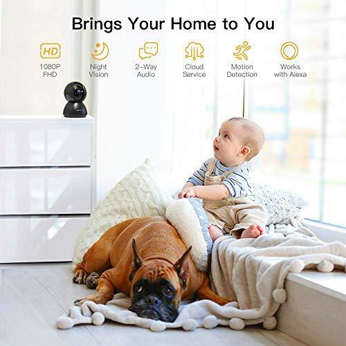 Baby Monitor Camera Pan/Tilt/Zoom WiFi 1080P Pet Camera - foxberryparkproducts