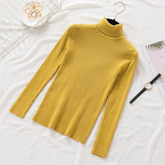 Pullover Women Knitted Turtleneck Sweater - foxberryparkproducts