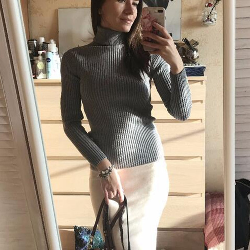 Pullover Women Knitted Turtleneck Sweater - foxberryparkproducts