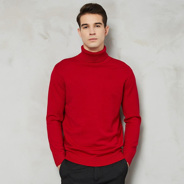 Handsome 8 Color Turtleneck Sweater - foxberryparkproducts