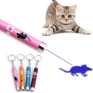 Pet Cat Toys LED Laser Pointer light Pen - foxberryparkproducts