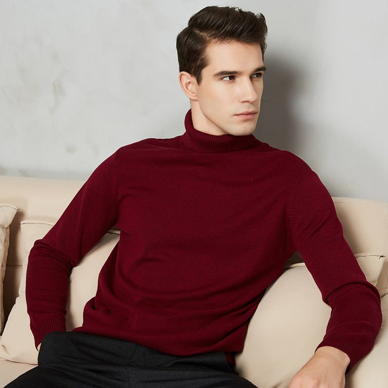 Handsome 8 Color Turtleneck Sweater - foxberryparkproducts