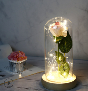 Beauty And The Beast Rose In LED Glass - foxberryparkproducts