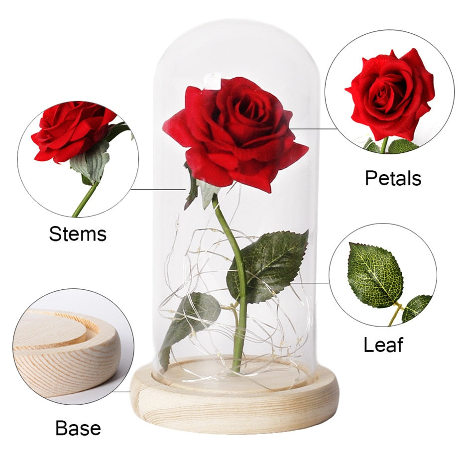 Beauty And The Beast Rose In LED Glass - foxberryparkproducts