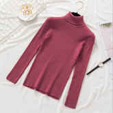 Pullover Women Knitted Turtleneck Sweater - foxberryparkproducts