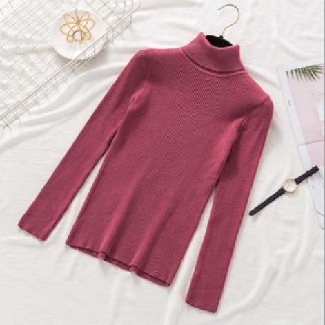 Pullover Women Knitted Turtleneck Sweater - foxberryparkproducts