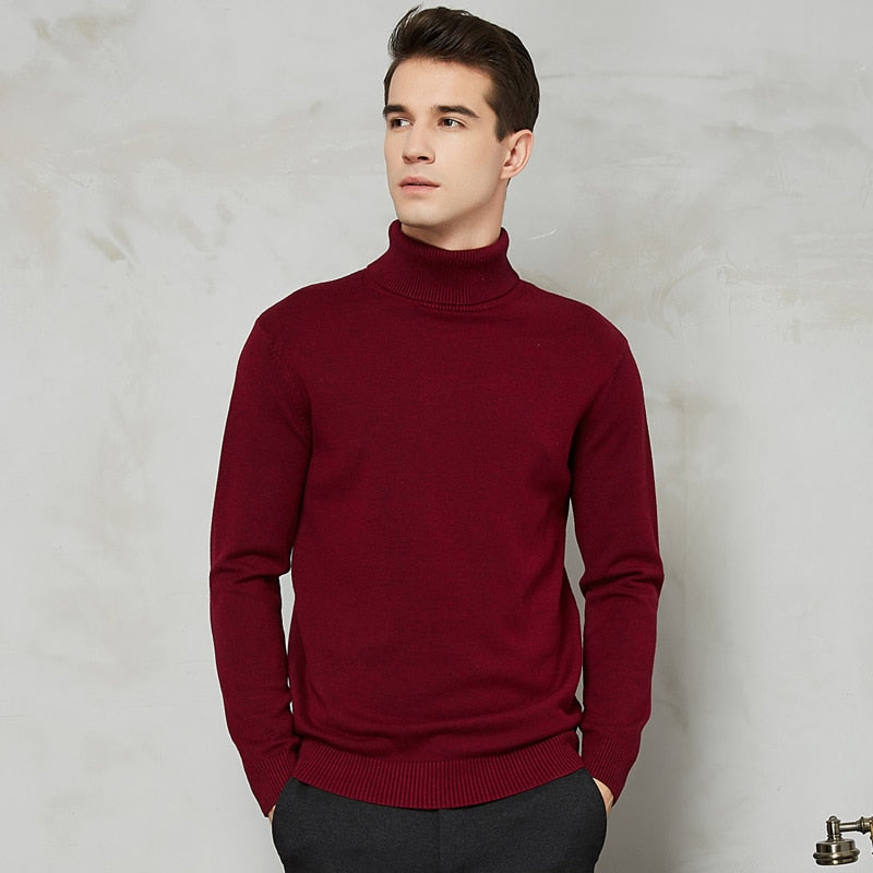 Handsome 8 Color Turtleneck Sweater - foxberryparkproducts