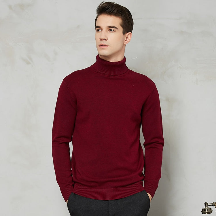 Handsome 8 Color Turtleneck Sweater - foxberryparkproducts
