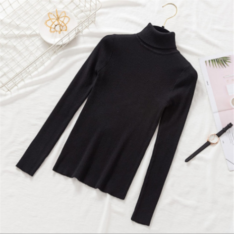 Pullover Women Knitted Turtleneck Sweater - foxberryparkproducts