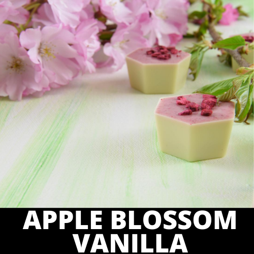 Black Canyon Apple Blossom Vanilla Scented Hand Sanitizer Gel - foxberryparkproducts