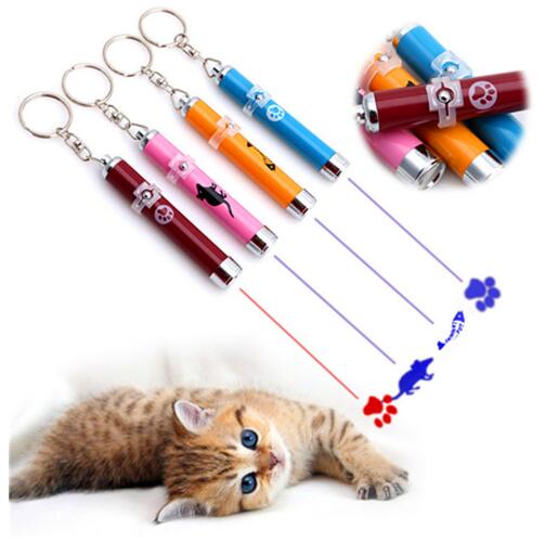 Pet Cat Toys LED Laser Pointer light Pen - foxberryparkproducts