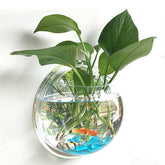 Wall Mounted Newest Hanging Decor Bubble Bowl Flowers Fish Tank - foxberryparkproducts
