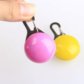 Dogs LED Flashing Glow Collars Products LED Light Luminous Collars - foxberryparkproducts