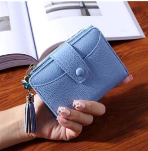 Women Wallet - foxberryparkproducts