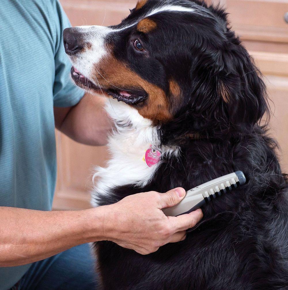 Knot Out Electric Pet Grooming for dogs and cats - foxberryparkproducts