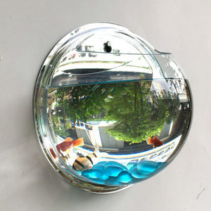 Wall Mounted Newest Hanging Decor Bubble Bowl Flowers Fish Tank - foxberryparkproducts